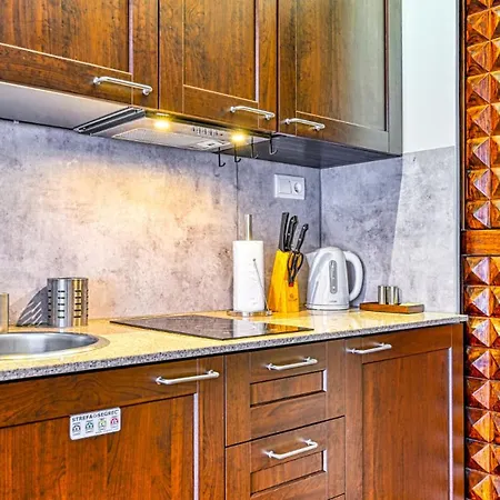 Lola - Najblizej Wyciagu - By Royal Aparts 公寓